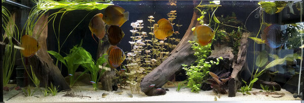 00002IMG_00002_BURST20180913182138_COVER bewerkt 667.jpg