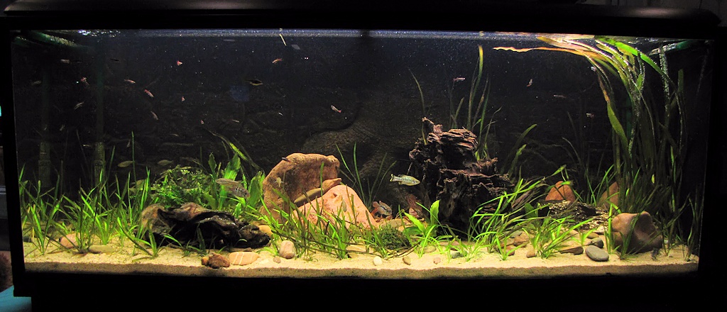02012013_1.jpg