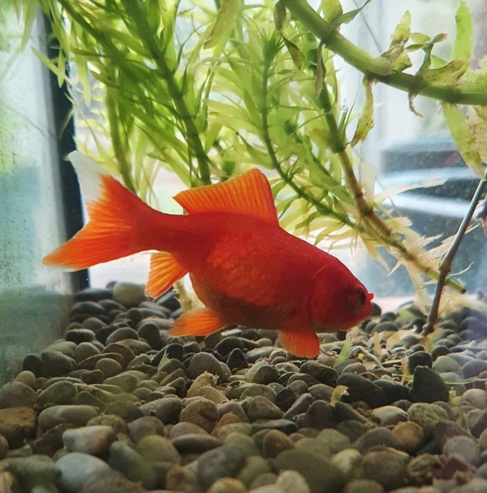 06344139-815e-433e-936b-886c2a3aafc1 (2).jpg