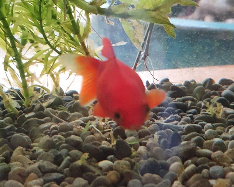 08464f40-9a70-4e8c-a21e-55cb7b8b41ea (2).jpg