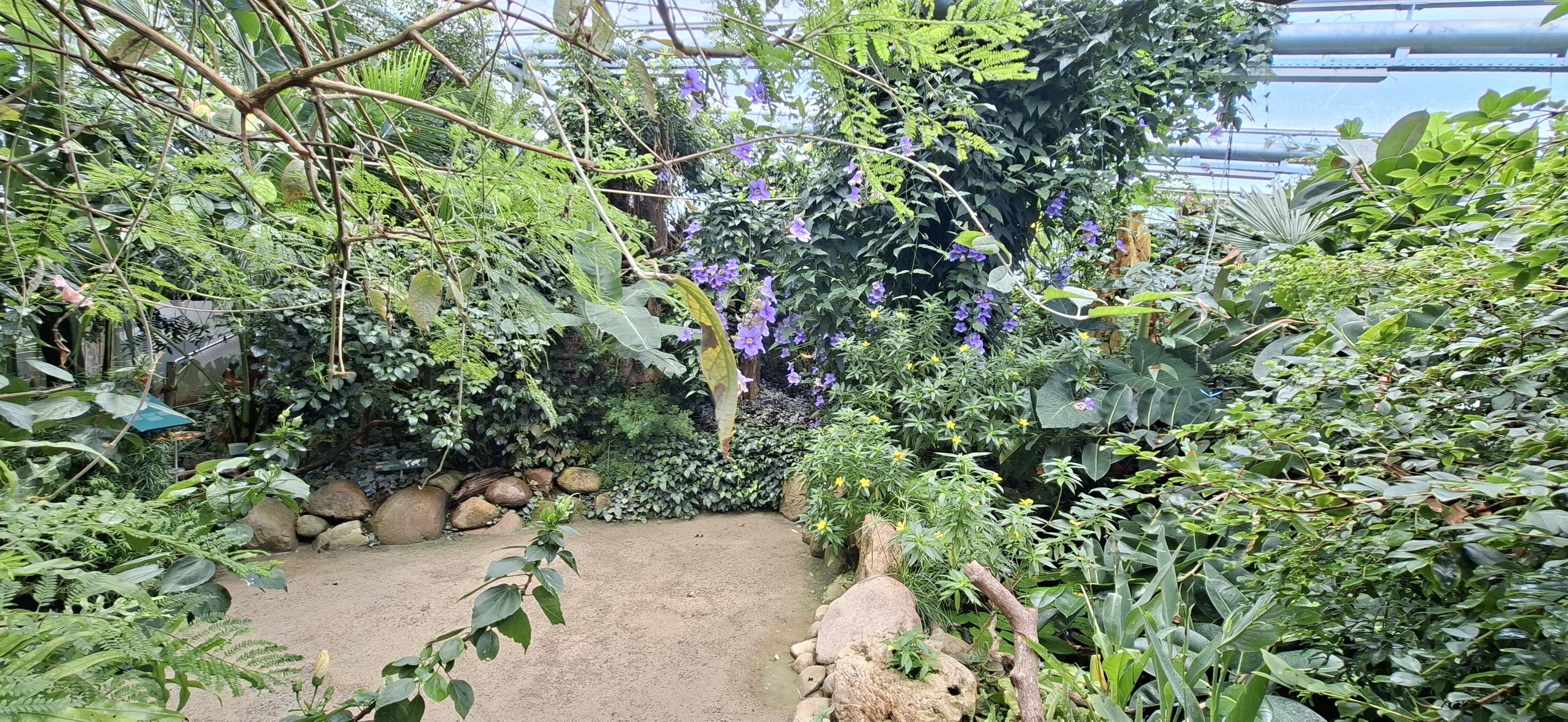 1000031275.jpg