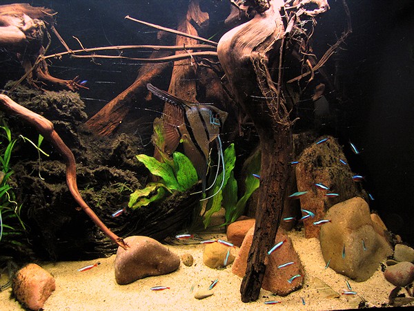 10092013_3.jpg