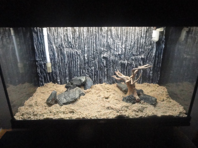 112149martinc_0_85_aquariu.jpg