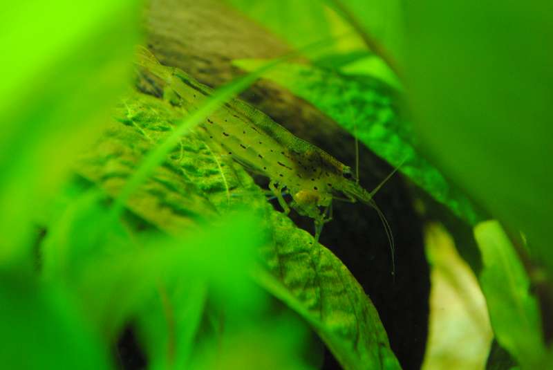 113846_0_82_147.jpg