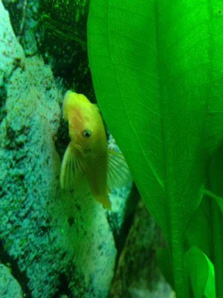 115544coolbr33ze_0_82_foto_3.jpg
