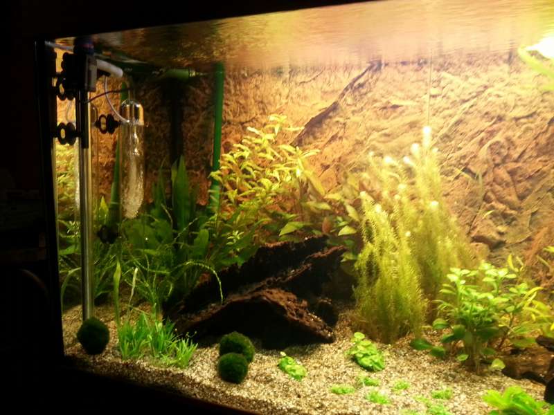 117319_0_82_aquarium_32.jpg