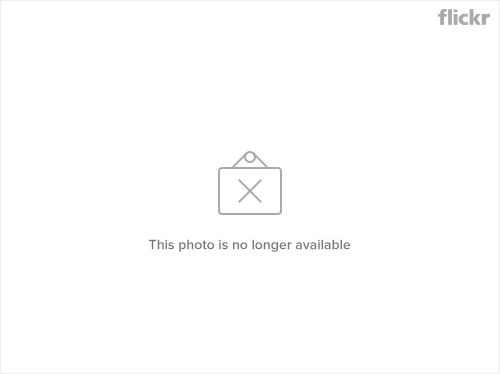 11997813795_78467fe659_c.png
