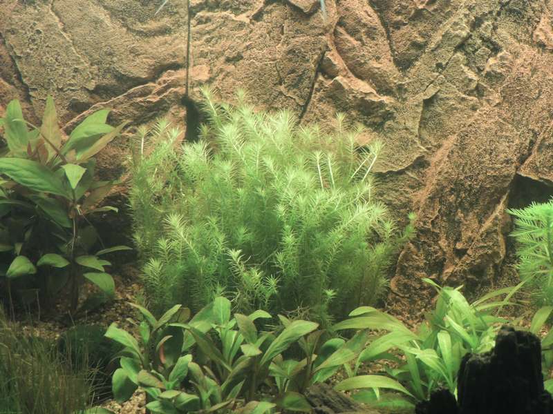 122979tamara1988_0_82_aquarium_20.jpg