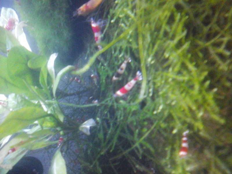 123275_0_82_20140127_195058.jpg