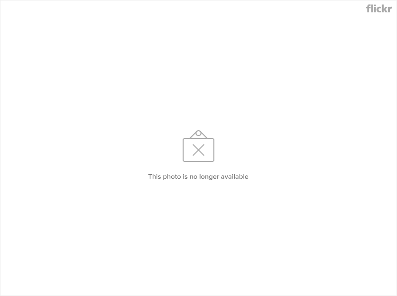 12543391775_47c98e58de_c.png