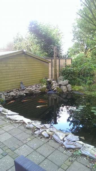127961_0_82_20140820_18.jpg