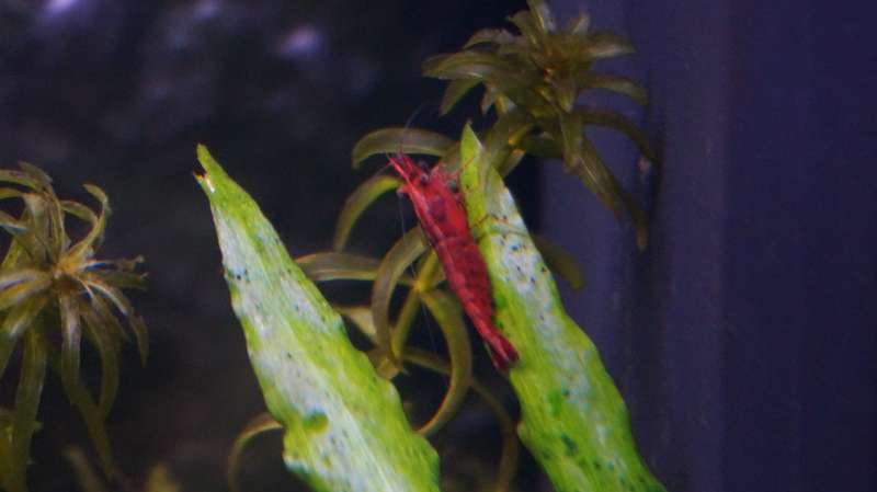 134713aquatin_0_82_dsc01014.jpg