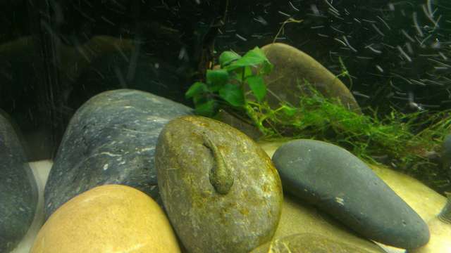 135713chris10_0_82_imag0462.jpg