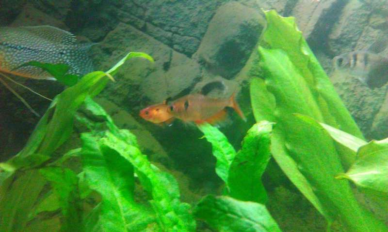 139536_0_82_1410.jpg