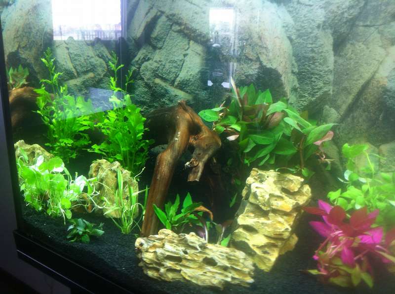 142348glasbakje_0_82_foto_9.jpg