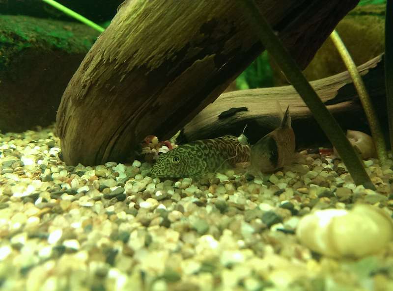 144279_0_82_20141126_21.jpg