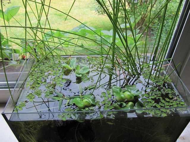 146566kimelderhorst_0_85_0507201.jpg
