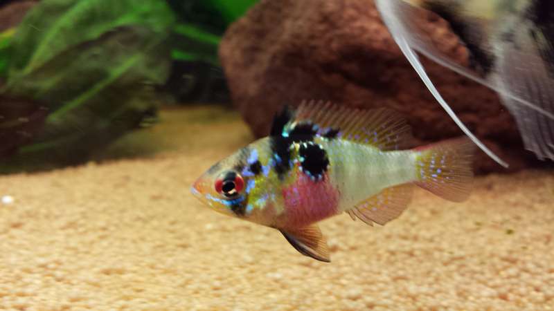 147668mike_leiden_0_82_20140105_234646.jpg