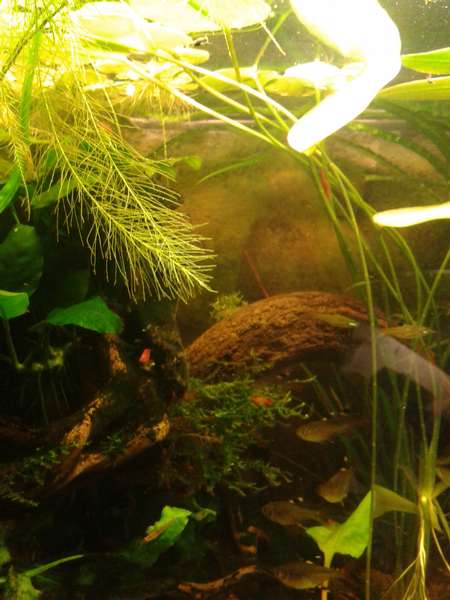 157935an_vrolijk_0_82_20140421_212021.jpg