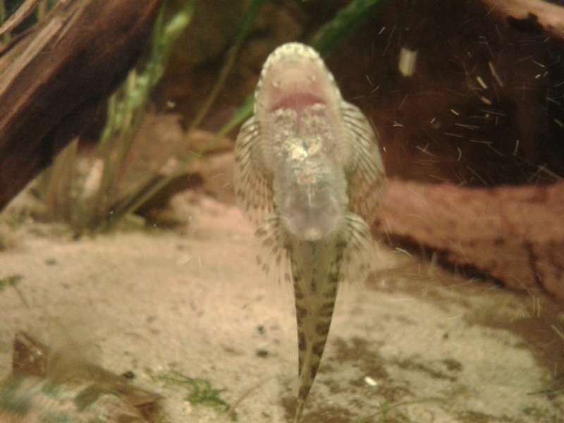 164237an_vrolijk_0_82_20140115_213643.jpg