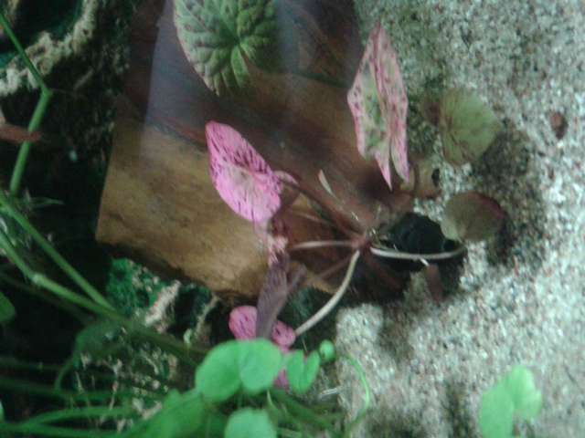 165277biologist_0_82_20150725_114954.jpg