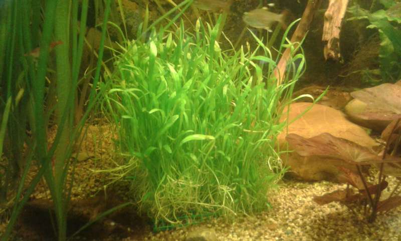 165855an_vrolijk_0_82_20140121_133650.jpg
