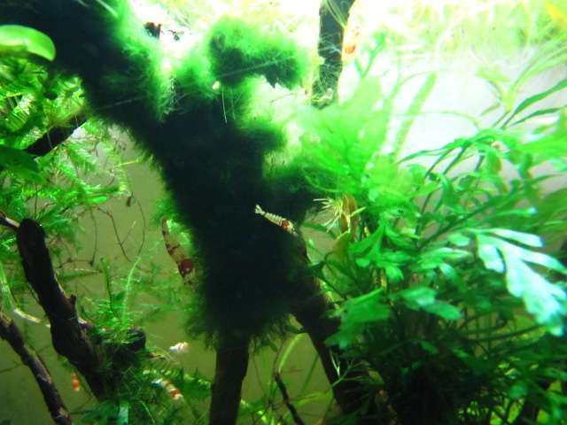 167219kimelderhorst_0_82_img_4867.jpg