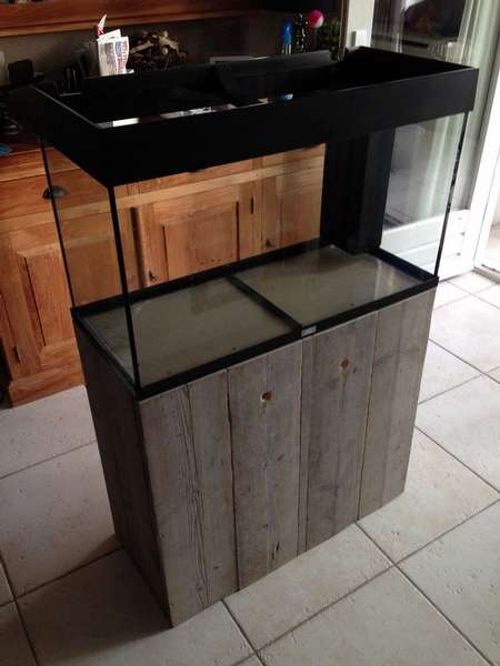 169719coolbr33ze_0_82_aquarium0016.jpg