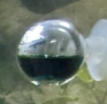 1701085349391.png