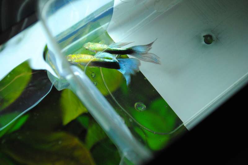 171758_0_82_135.jpg