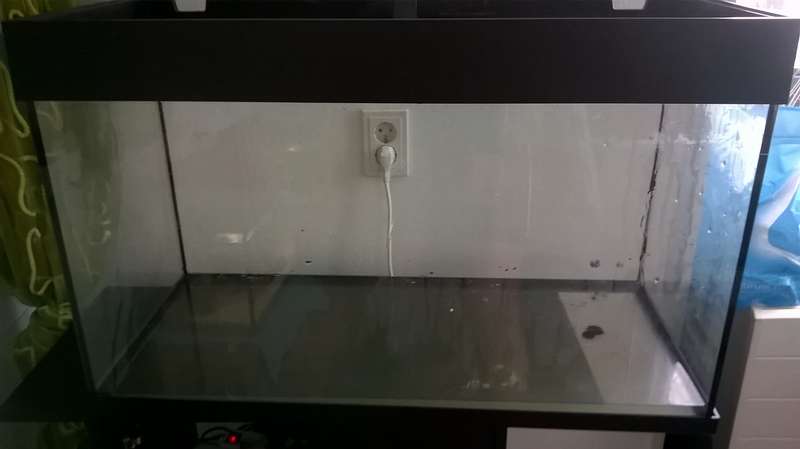 172198apistogrammatjuuuh_0_82_wp_20151228_13_03_54_pro.jpg