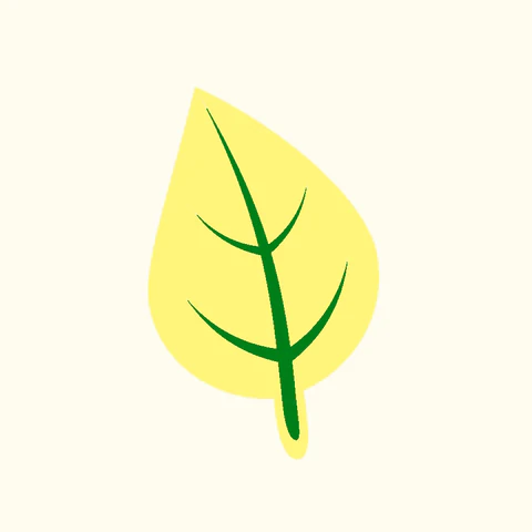 1745403757848.png