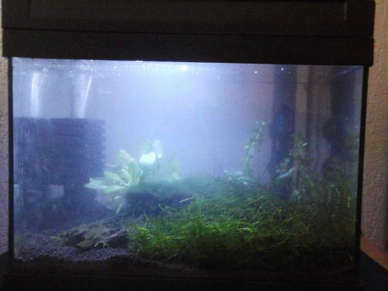 175871_0_82_20140406_161122.jpg