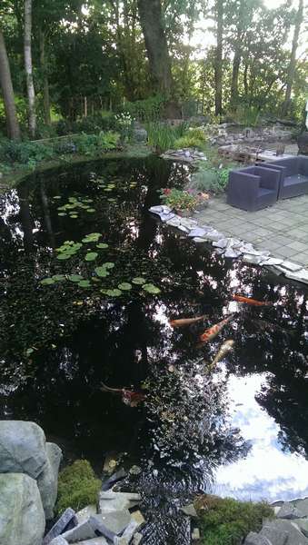177414_0_82_20140820_18.jpg