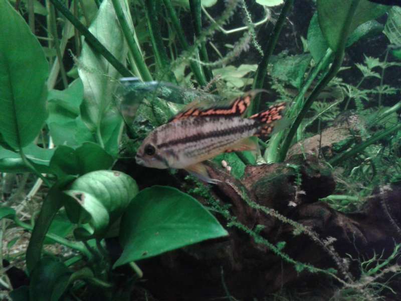 182355_0_82_20150312_202729.jpg
