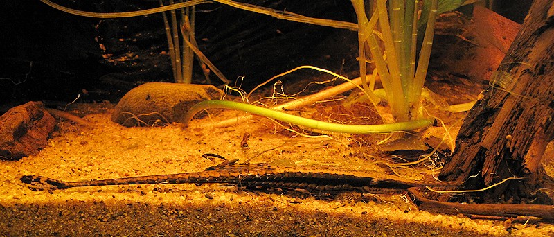 19012014_04.jpg