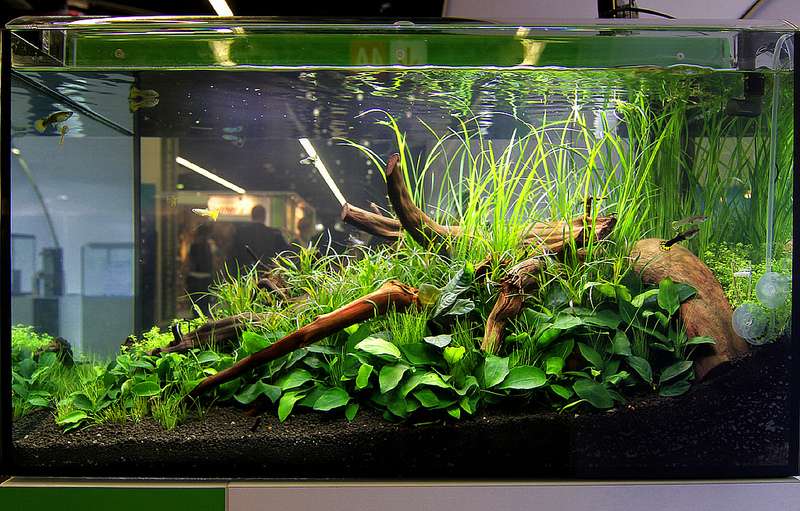 193921_0_82_nature_style_6.jpg