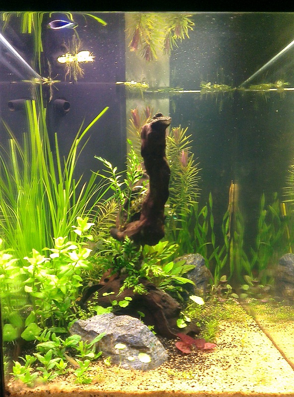 2013-08-20230304.jpg