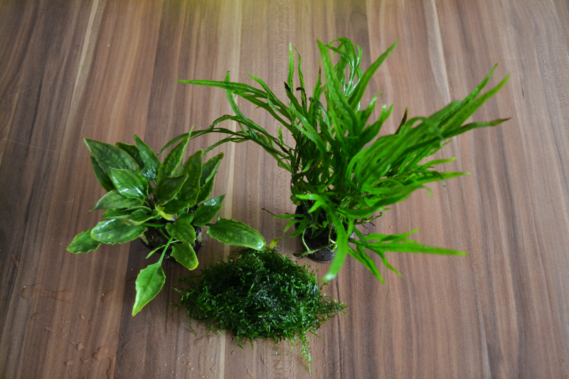 2013-10-06-03_zps4b05366c.jpg