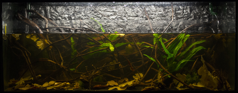 2013-11-15-13_zps74a0fa09.jpg