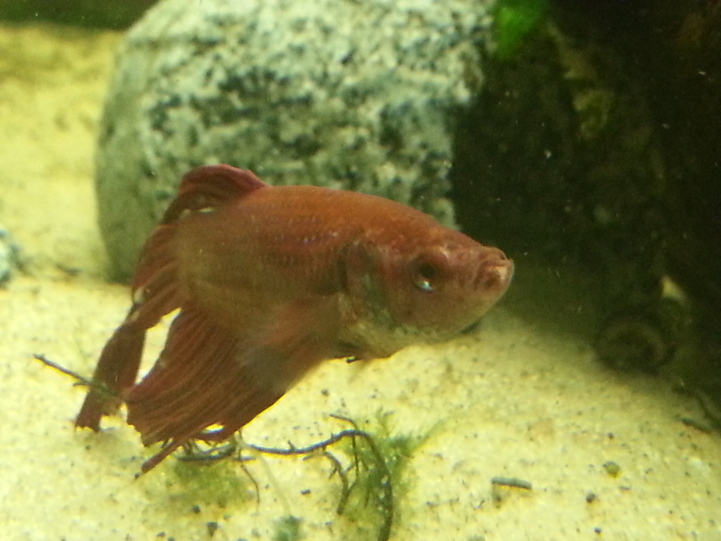 20130928_175115_zps6474cb17.jpg