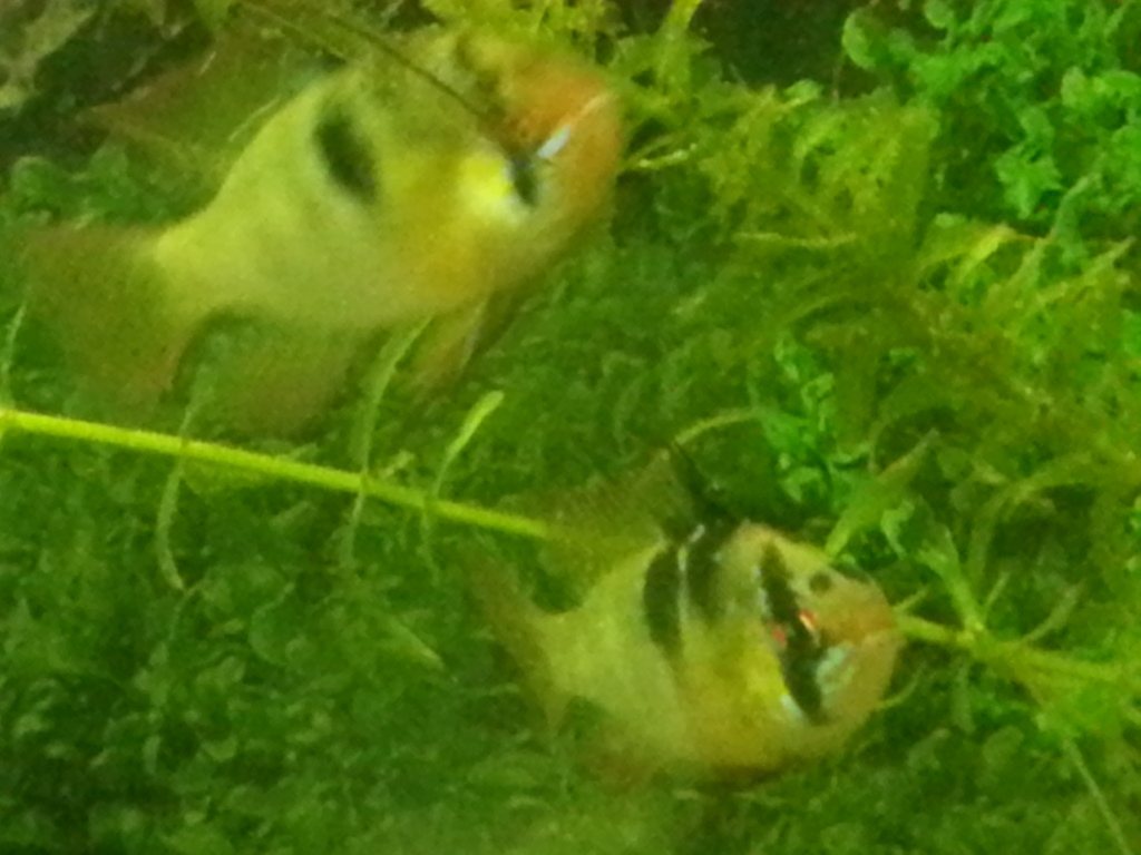 20131130_141623_zps8d01f58c.jpg
