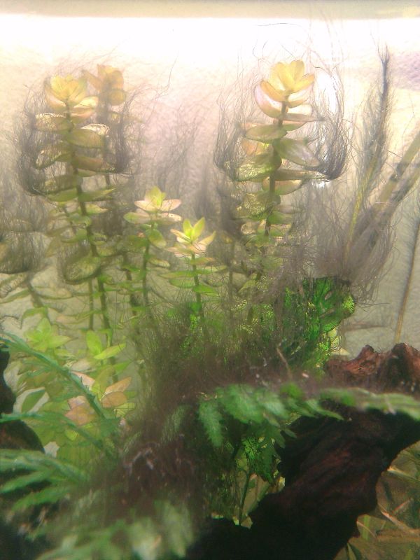 2014-01-22_203929.jpg