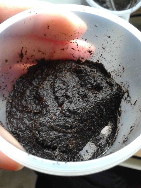 2014-04-10_11.19.46.jpg
