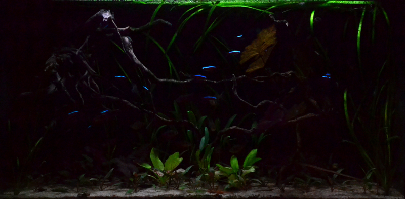 2014-11-26-01_zps81263b6a.jpg