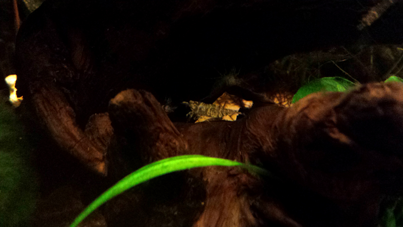 2014-11-26-02_zps80ef79f3.jpg