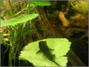20140213_210548.jpg
