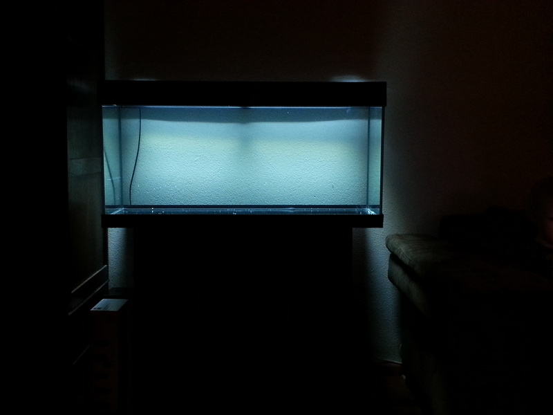 20140215_183651.jpg