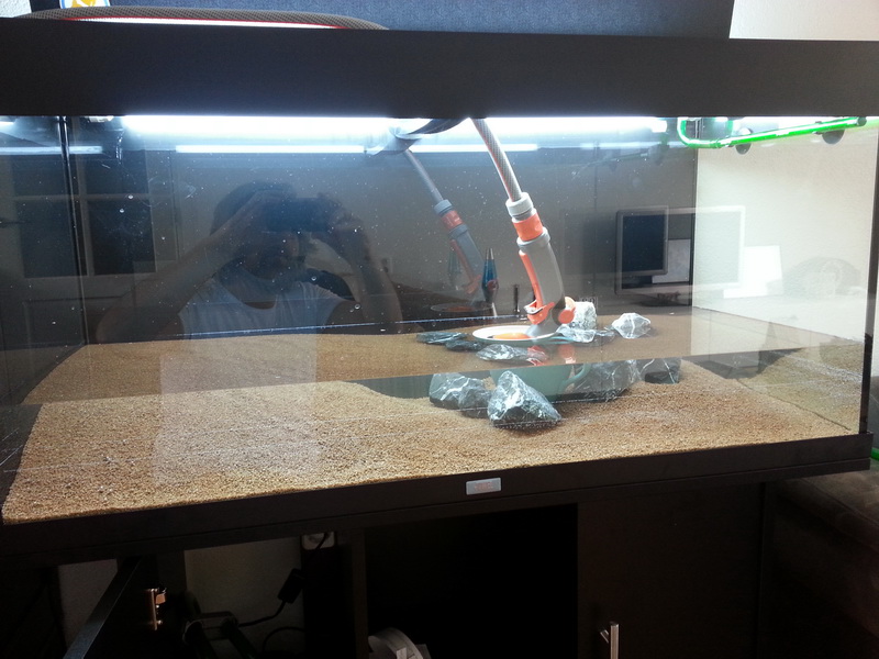 20140223_130212.jpg