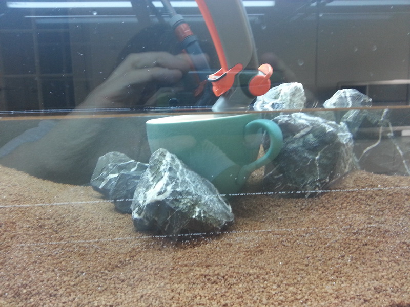 20140223_130223.jpg